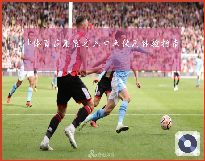 b体育应用官方入口及使用体验指南
