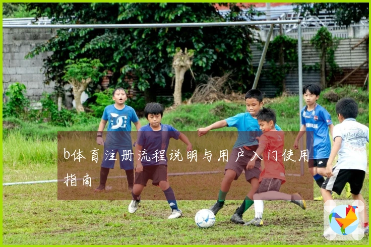 b体育注册流程说明与用户入门使用指南