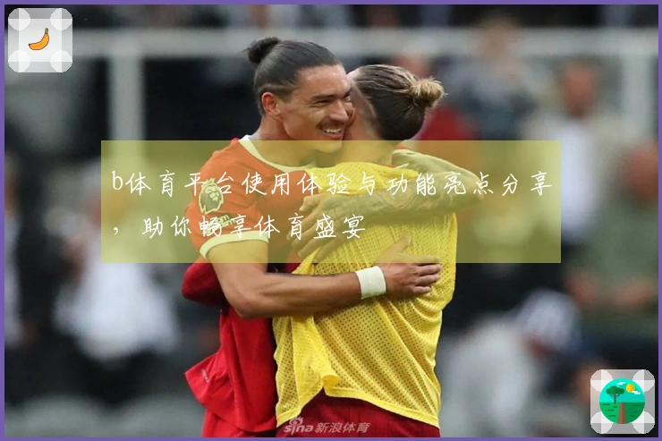 b体育平台使用体验与功能亮点分享，助你畅享体育盛宴