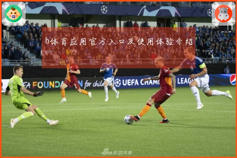 b体育应用官方入口及使用体验介绍