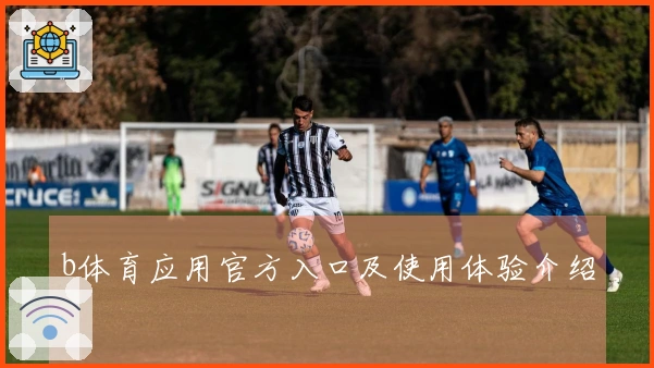 b体育应用官方入口及使用体验介绍