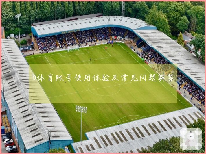 b体育账号使用体验及常见问题解答