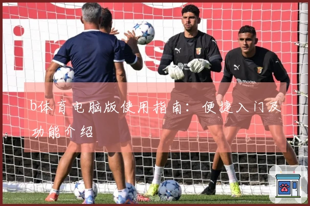 b体育电脑版使用指南：便捷入门及功能介绍